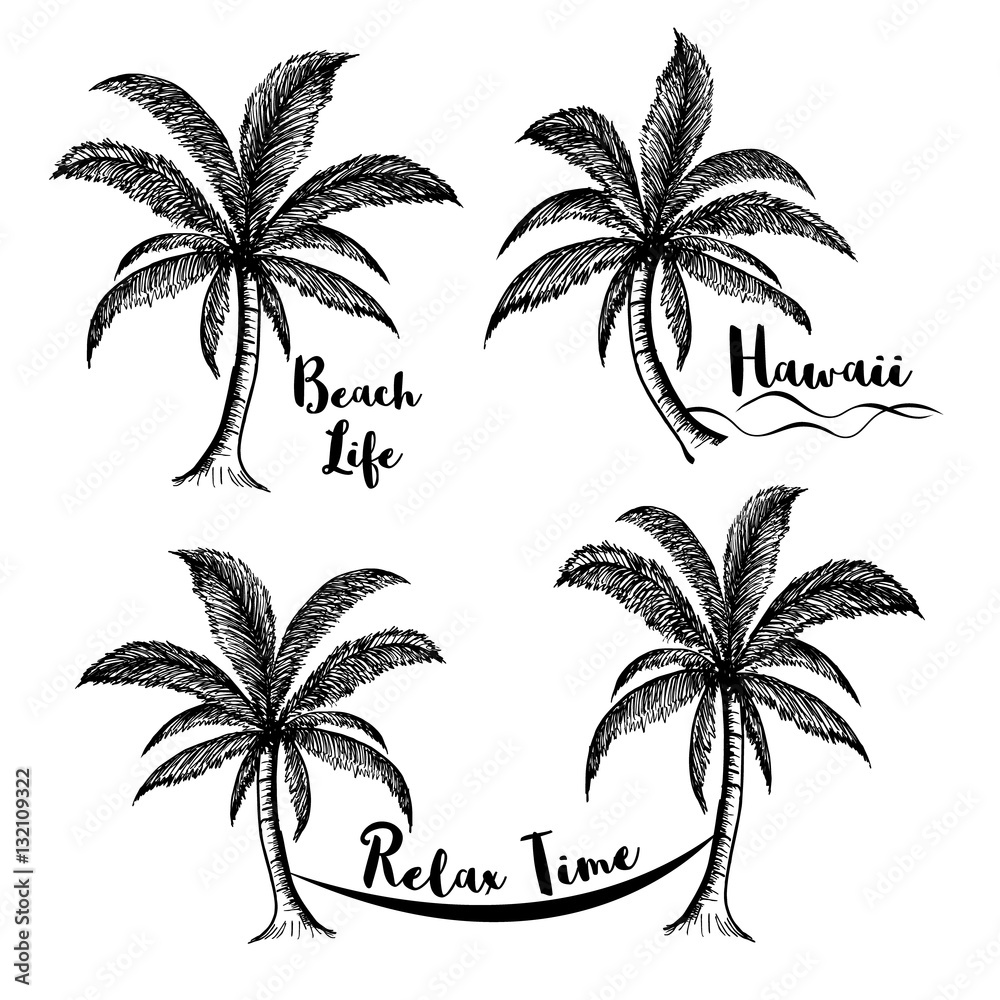 collection of coconut trees, illustration of nature plant sign