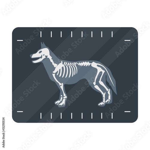 Dog x-ray icon in cartoon style isolated on white background. Veterinary clinic symbol stock vector illustration.