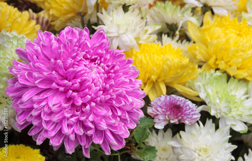 beautiful pink  yellow  and white chrysanthemum bouquet colorful