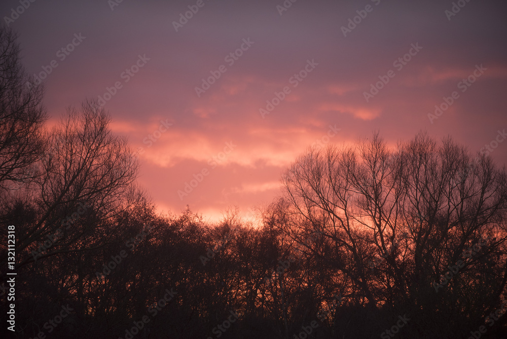 Fototapeta premium sunrise