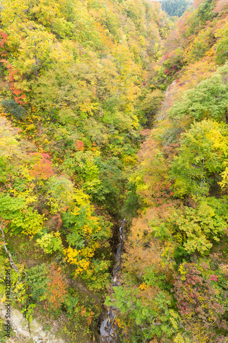 Naruko canyon