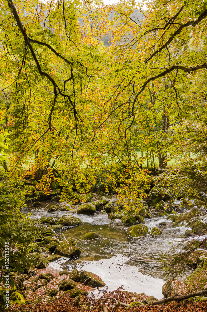 Noiraigue, Val de Travers, Jura, Areuse, Fluss, Areuseschlucht, Schlucht, Wanderweg, Wald, Waldweg, Herbst, Herbstfarben, Herbstwanderung, Schweiz Noiraigue, Val de Travers, Jura, Areuse, Fluss, Areuseschlucht, Schlucht, Wanderweg, Wald, Waldweg, Herbst, Herbstfarben, Herbstwanderung, Schweiz