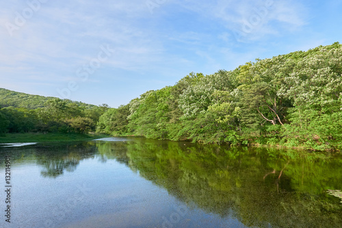 Landscape with big pond