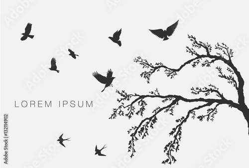 flying birds on tree branch