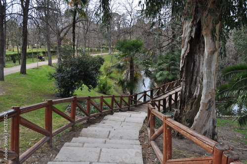 Parco del Retiro - Madrid photo