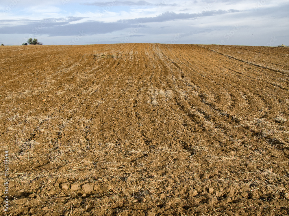 Campo arado para siembra