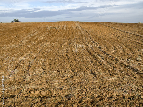 Campo arado para siembra