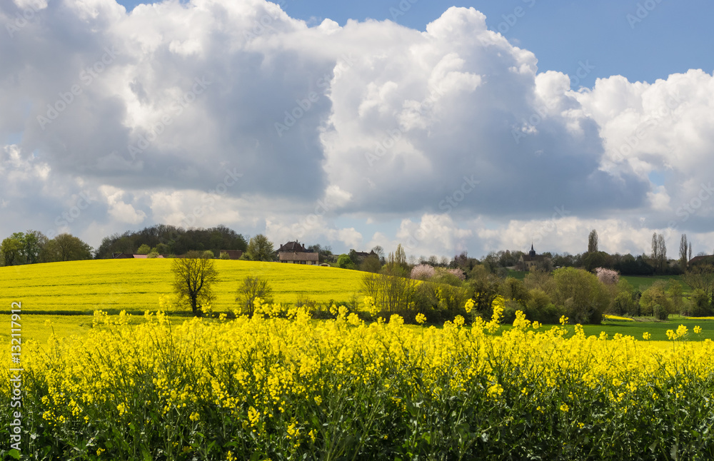 Agricultural landscape in France in spring with rape seed fields and blue cloudy sky.