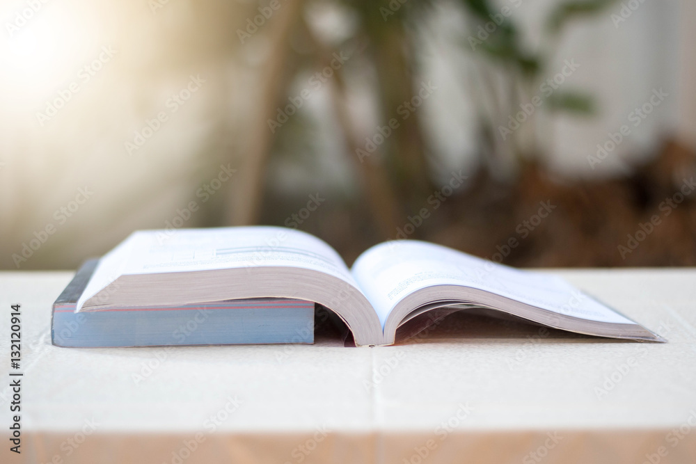 Open book on nature environment with light. Open book on nature environment with light.