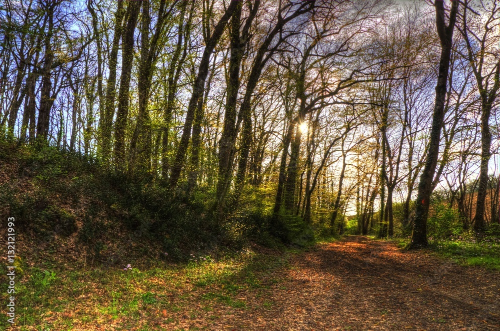 Fototapeta premium Hdr
