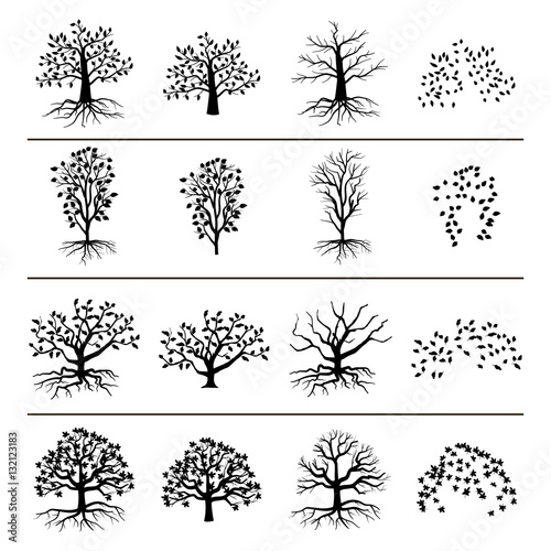 Vector trees with roots, foliage and fallen leaves isolated on white background