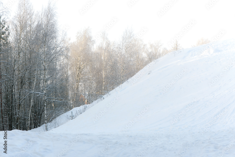 Snow covered trees in the winter forest