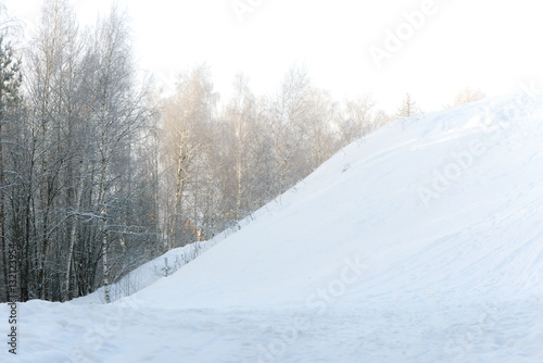 Fototapeta Naklejka Na Ścianę i Meble -  Snow covered trees in the winter forest