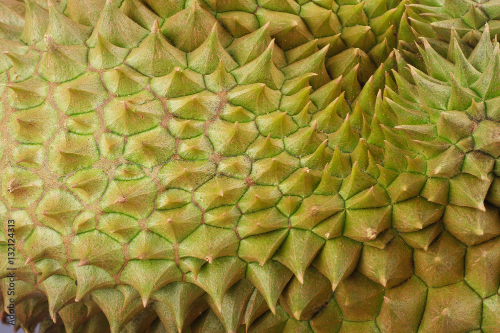 durian mon thong is king of tropical fruits on white background healthy ...