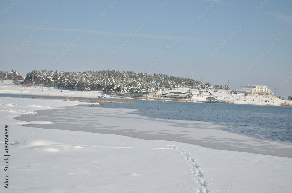 frosted lake in winter