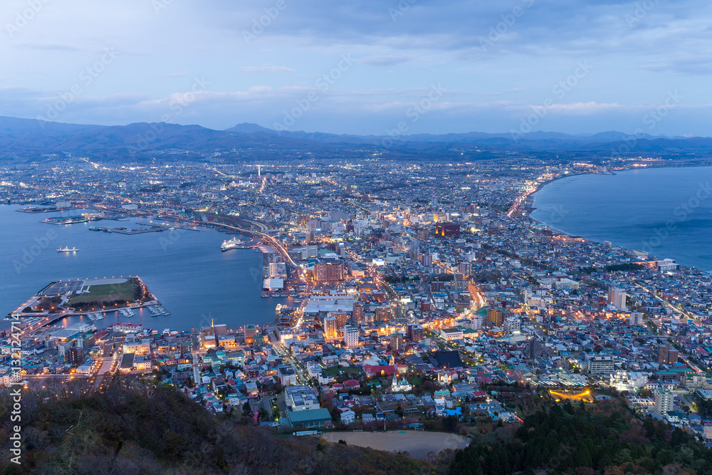 Hakodate City view