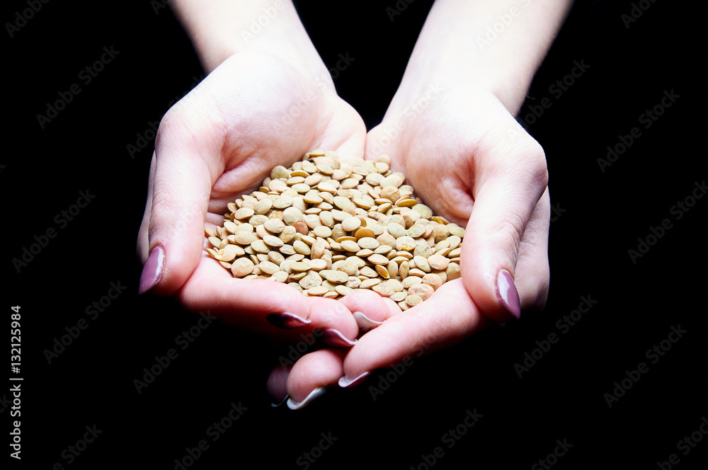Female hands holding a handful of useful and tasty lentil. Legumes are the best food for dieting, weight loss, slimming. Superfood for the fashionable modern diet. Female hands holding a handful of useful and tasty lentil. Legumes are the best food for dieting, weight loss, slimming. Superfood for the fashionable modern diet.