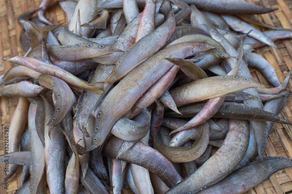 Sun dried fish in the market Sun dried fish in the market