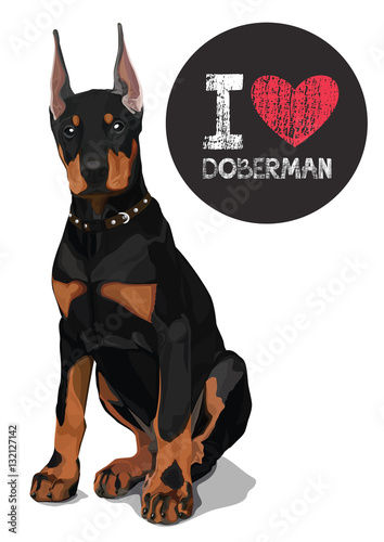 I love doberman