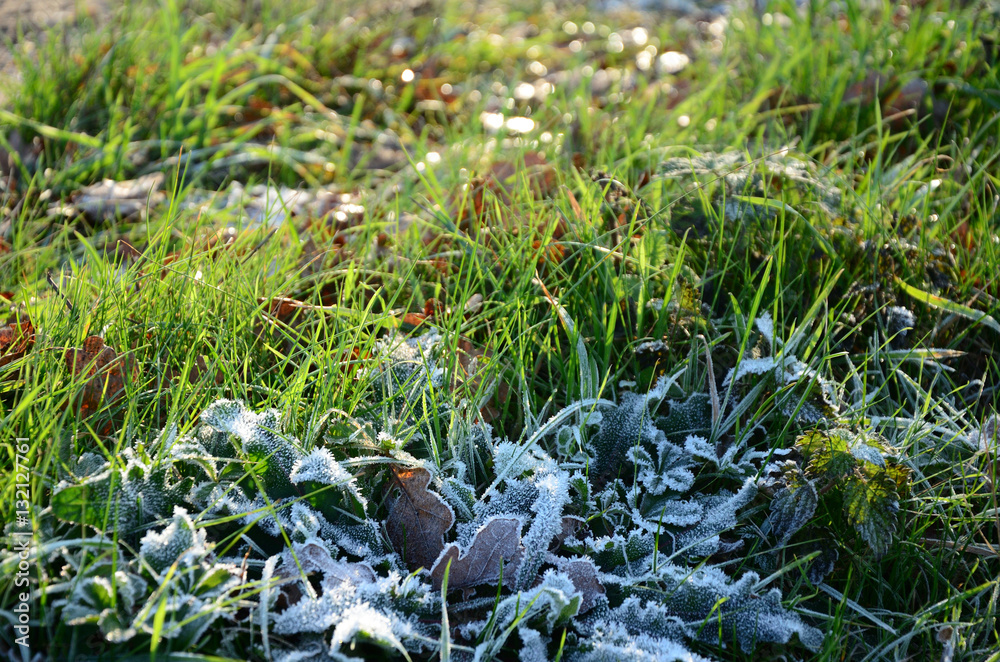 l'hiver approche l'hiver approche