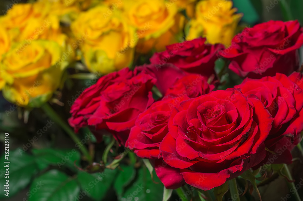 Closeup of bouquet of red roses in the background a bouquet of y Closeup of bouquet of red roses in the background a bouquet of y