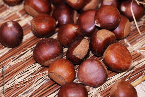  chestnut