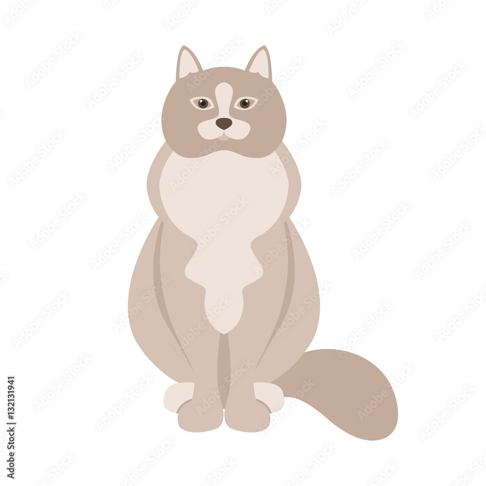 cat vector illustration style Flat