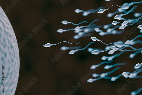 Sperm and egg cell. Fertilization concept. 3D rendered illustration.