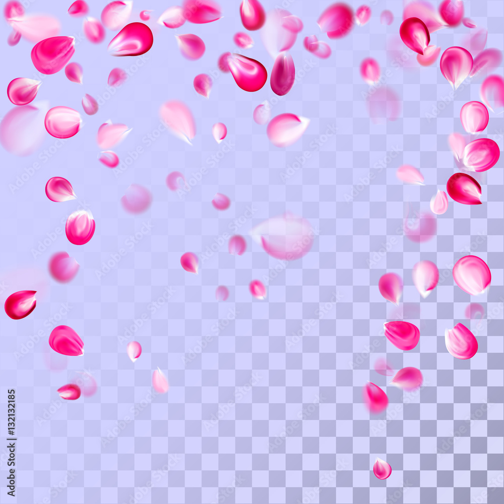Pink flower petals fall dawn. EPS 10 vector illustration.
