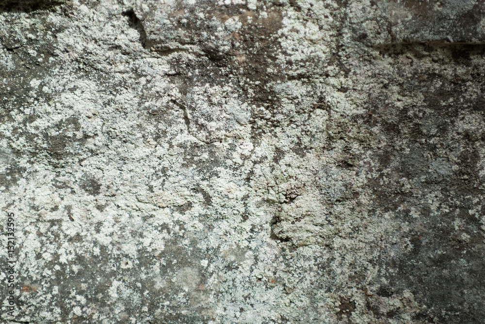 Rock Background Rock Background