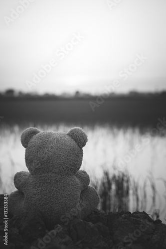 Black and white bear sad,In a deep depression, black&white, concept