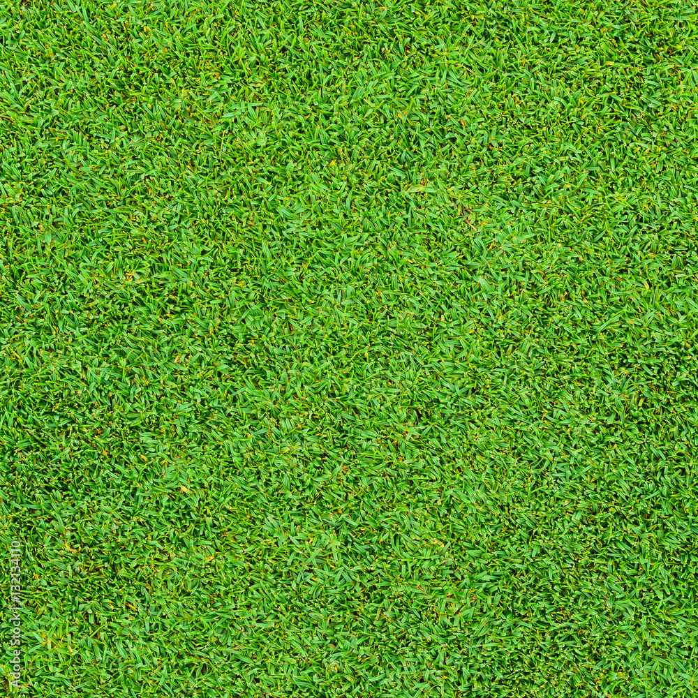 Obraz premium Background and texture of Beautiful green grass pattern from golf course