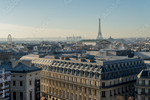 View of the roofs of Paris.