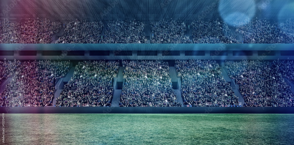Naklejka premium Digital image of crowded soccer stadium 3d 