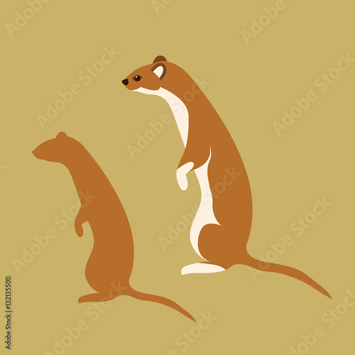 hermine vector illustration style Flat
