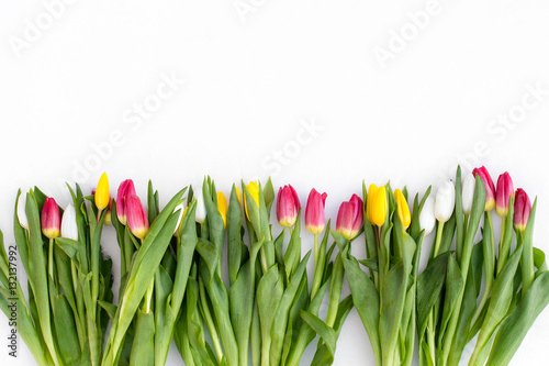 spring flowers on a snow background