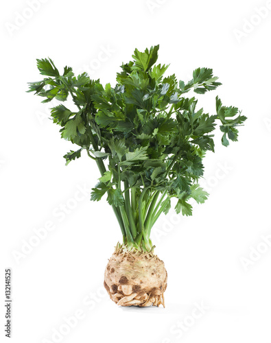 celeriac or root celery with leafs