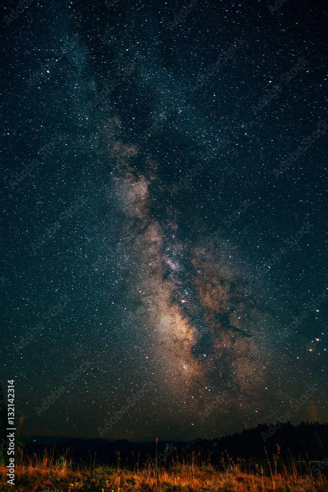 Fototapeta premium Milky way 