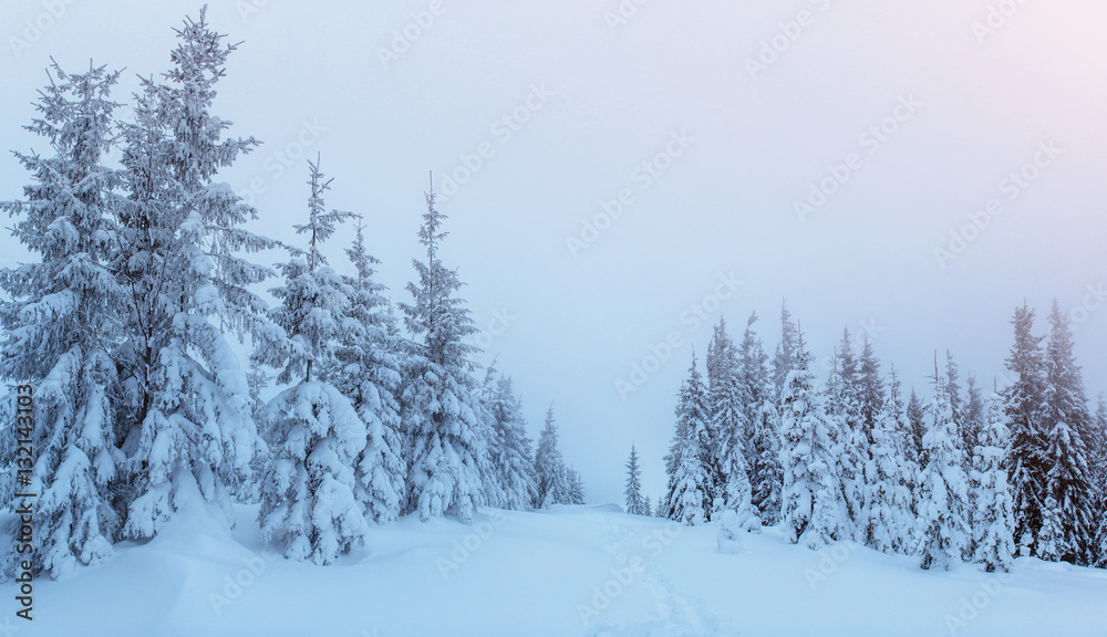 Mysterious landscape majestic mountains in winter. Mysterious landscape majestic mountains in winter.