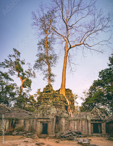 Ta Prohm Temple in Angkor Complex, Siem Reap, Cambodia. It has been left largely unrestored, with trees growing among the ruins. Ancient Khmer architecture, famous Cambodian landmark, World Heritage photo