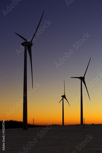 A field of wind turbines at sunset