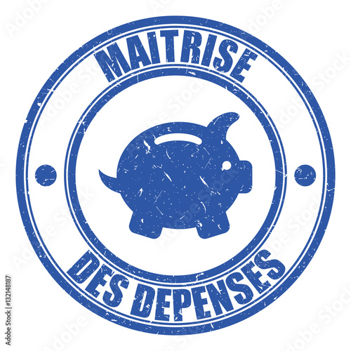 Logo maîtrise des dépenses.