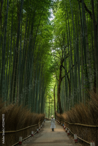 Woman in a bamboo forest, Japan