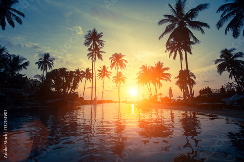 Fototapeta Naklejka Na Ścianę i Meble -  Beautiful sunset among the palms on a tropical beach.