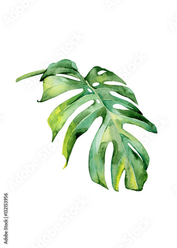 Watercolor illustration of tropical leaves, dense jungle. Hand painted. Banne...
