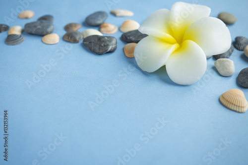 Seashells and a candle on a light background in marine style