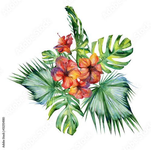 Watercolor illustration set of tropical leaves and hibiscus, dense jungle. Ba...