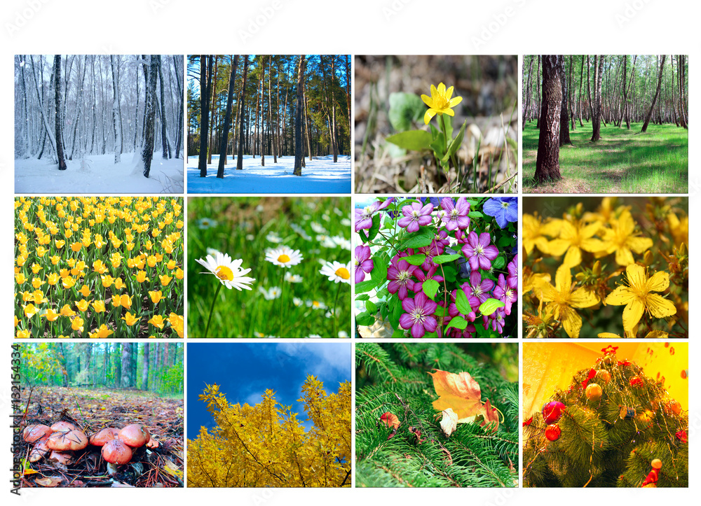 Naklejka premium blank with twelve colored images of nature for calendar