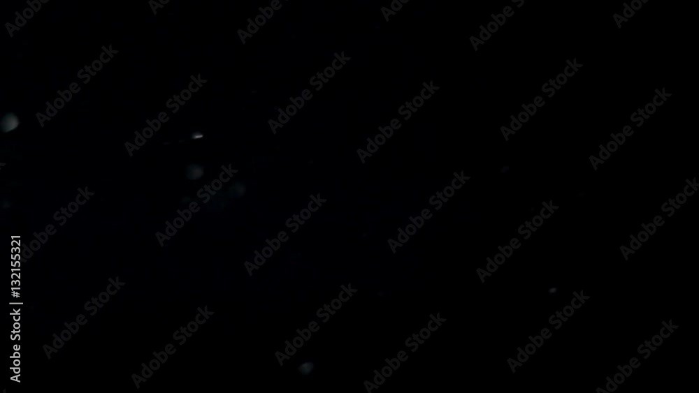 abstract black background with white dust particles moving chaotically abstract black background with white dust particles moving chaotically