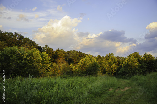 Summer Colors